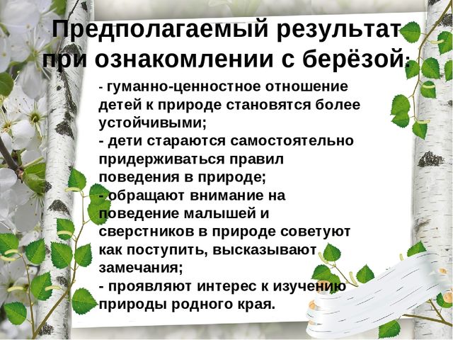 Презентация по экологическому воспитанию "Люблю берёзку русскую!