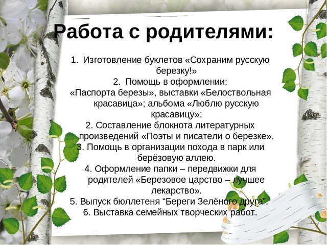 Презентация русская береза