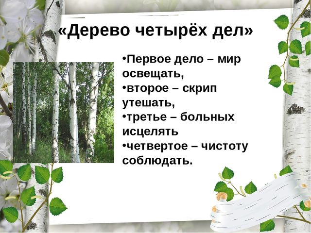 Презентация по экологическому воспитанию "Люблю берёзку русскую!