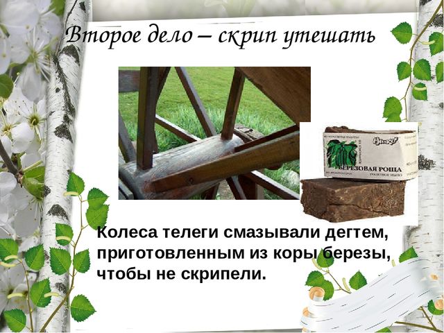 Презентация по экологическому воспитанию "Люблю берёзку русскую!