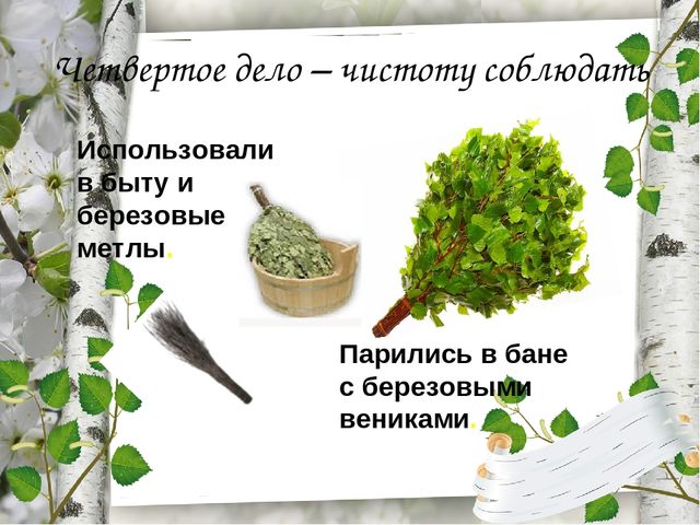 Презентация по экологическому воспитанию "Люблю берёзку русскую!