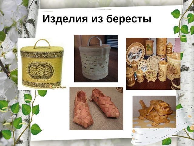 Презентация по экологическому воспитанию "Люблю берёзку русскую!