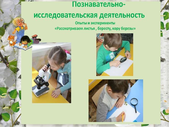 Презентация по экологическому воспитанию "Люблю берёзку русскую!