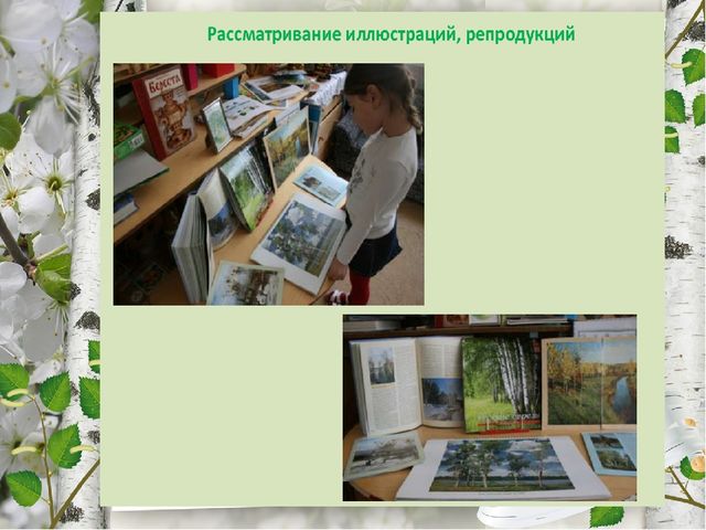 Презентация по экологическому воспитанию "Люблю берёзку русскую!