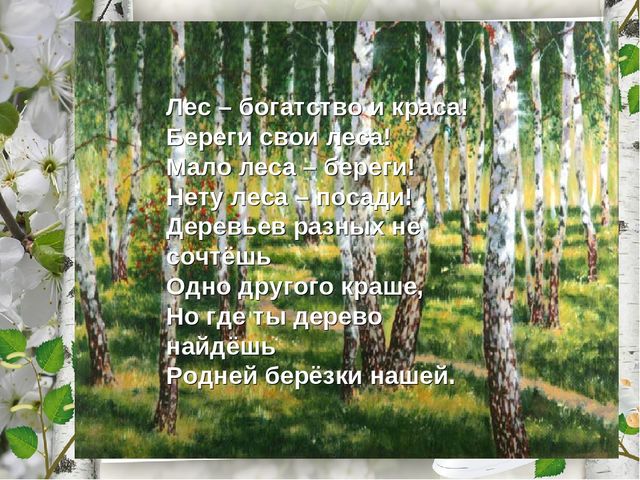 Презентация по экологическому воспитанию "Люблю берёзку русскую!