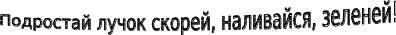Shape7