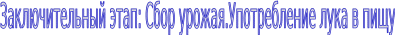 Shape8