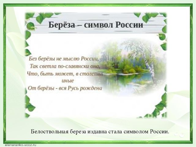 "Развитие познавательных способностей дошкольников через экспериментальную деятельность с объектами живой природы"