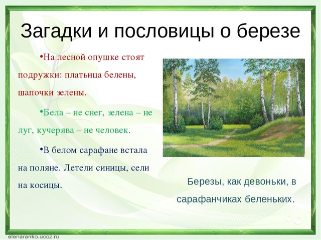 "Развитие познавательных способностей дошкольников через экспериментальную деятельность с объектами живой природы"