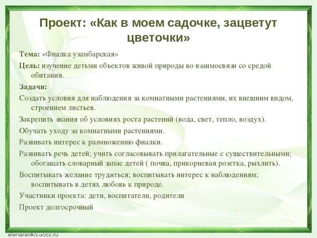 "Развитие познавательных способностей дошкольников через экспериментальную деятельность с объектами живой природы"