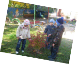 Picture 30