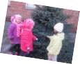Picture 14