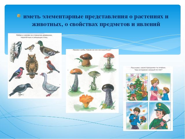 Презентация на тему "Подготовка детей с ОВЗ к школьному обучению"