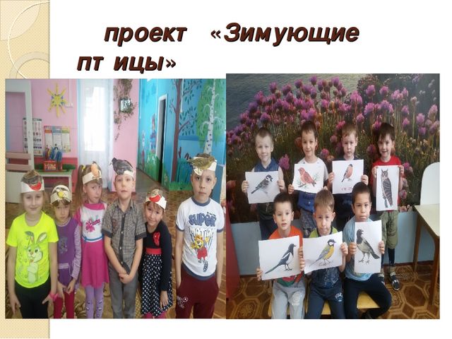 Проектная деятельность в дошкольном образовательном учреждении
