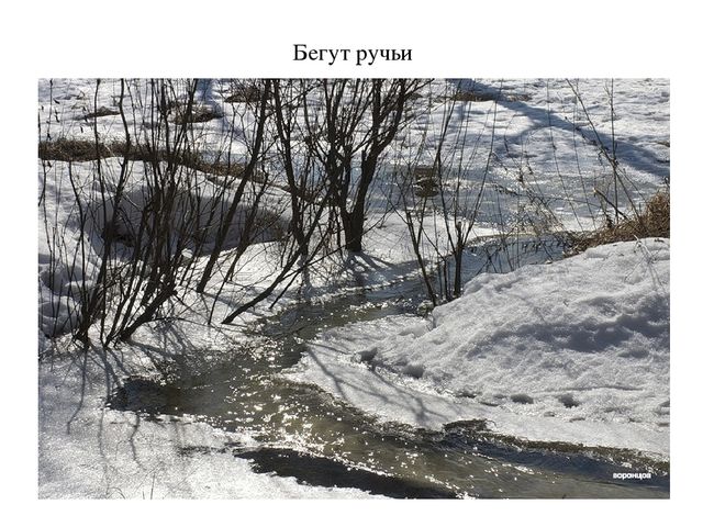 Презентация по окружающему миру: "Времена года.Весна"