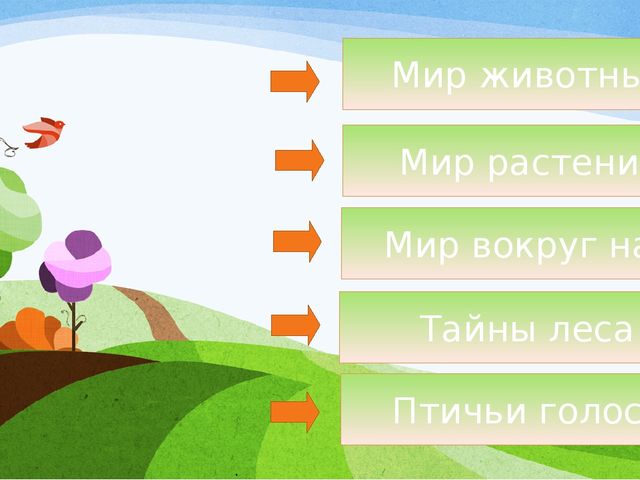 Презентация по экологии "Мир вокруг нас" для старшего дошкольного возраста
