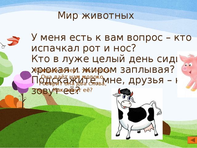 Презентация по экологии "Мир вокруг нас" для старшего дошкольного возраста