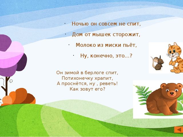 Презентация по экологии "Мир вокруг нас" для старшего дошкольного возраста