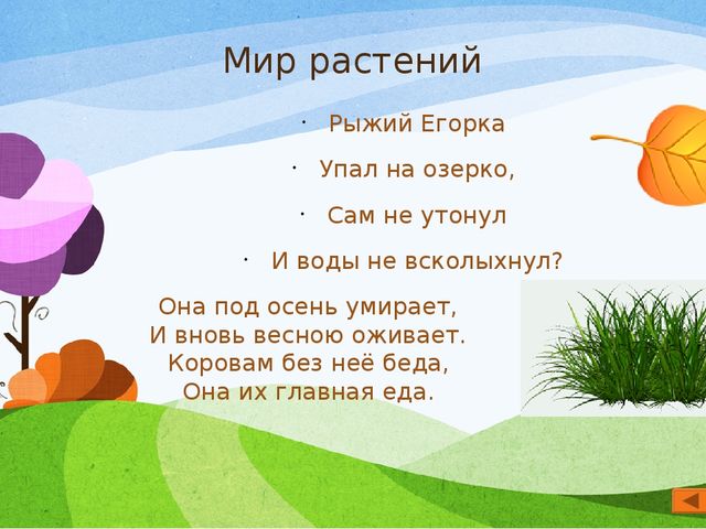 Презентация по экологии "Мир вокруг нас" для старшего дошкольного возраста
