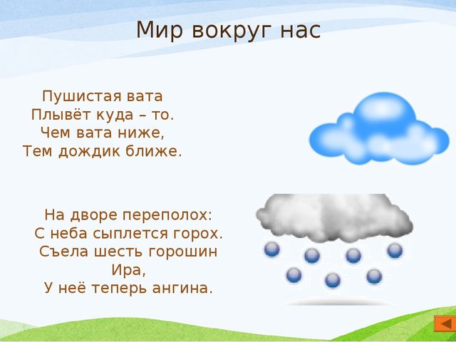 Презентация по экологии "Мир вокруг нас" для старшего дошкольного возраста