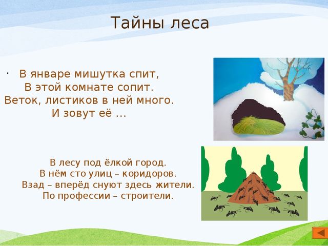 Презентация по экологии "Мир вокруг нас" для старшего дошкольного возраста