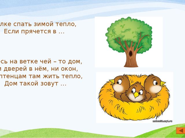 Презентация по экологии "Мир вокруг нас" для старшего дошкольного возраста