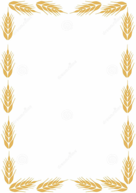 Shape1