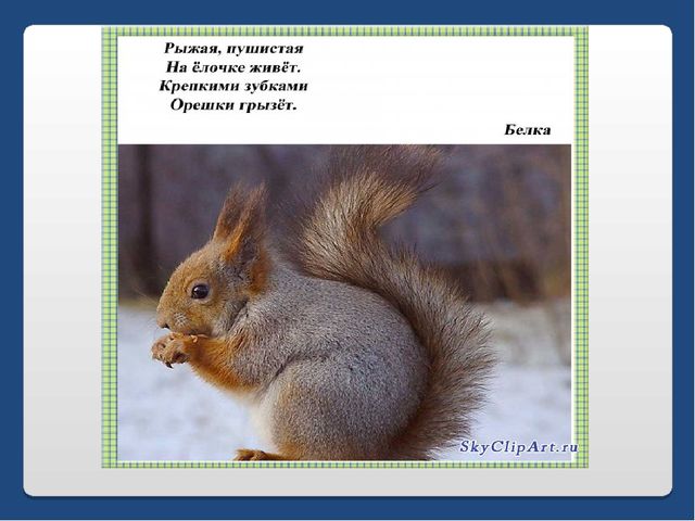 Презентация по письму : Вводный урок