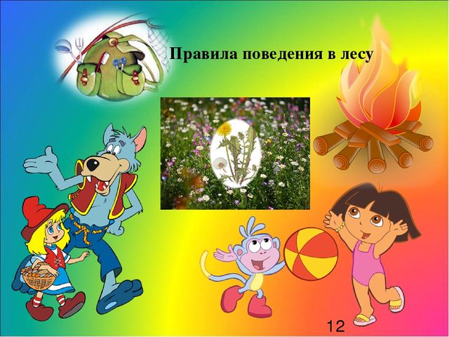 Туристические походы в рамках выходного дня совместно с родителями