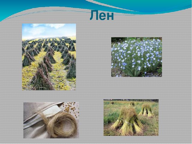 Презентация к НОД по ознакомлению с окружающим в подготовительной группе "Откуда ткань к нам пришла"