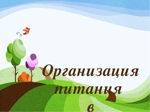 ОРГАНИЗАЦИЯ ПИТАНИЯ В ДОШКОЛЬНЫХ ГРУППАХ