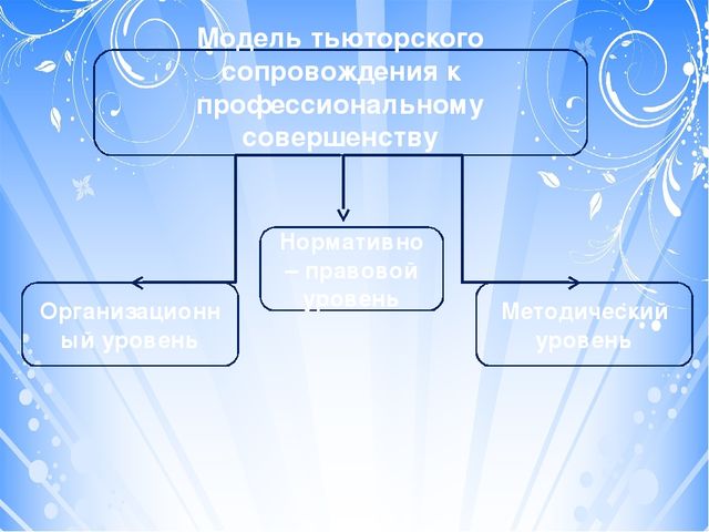 Проект "Тьюторское сопровождение к профессиональному совершенству (с использованием игрового набора "Дары Фребеля" дошкольном образовании)