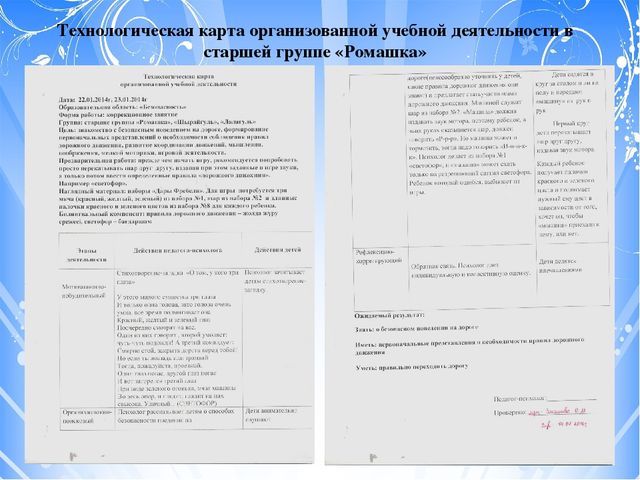 Проект "Тьюторское сопровождение к профессиональному совершенству (с использованием игрового набора "Дары Фребеля" дошкольном образовании)