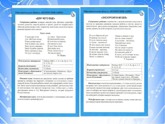 Проект "Тьюторское сопровождение к профессиональному совершенству (с использованием игрового набора "Дары Фребеля" дошкольном образовании)