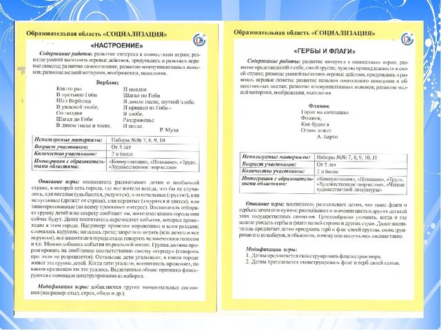 Проект "Тьюторское сопровождение к профессиональному совершенству (с использованием игрового набора "Дары Фребеля" дошкольном образовании)