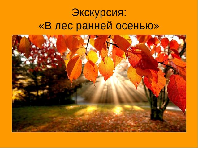 Презентация "Экскурсия в осенний лес"