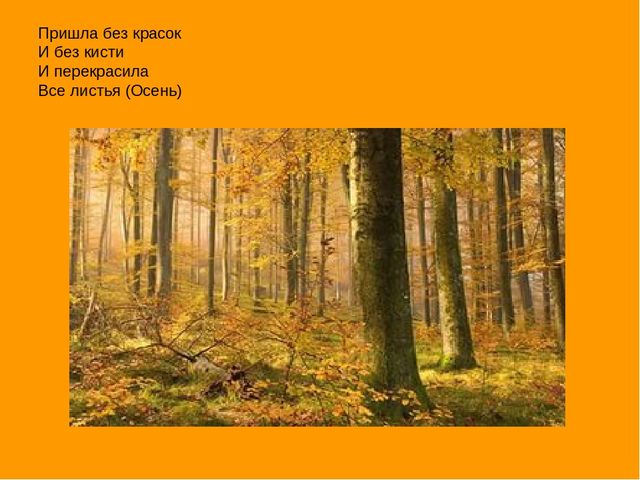 Презентация "Экскурсия в осенний лес"