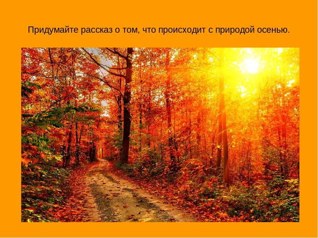 Презентация "Экскурсия в осенний лес"