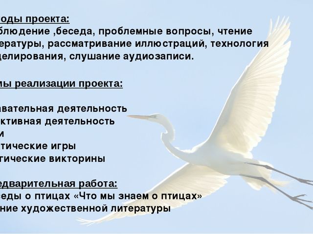 Презентация по познавательно-исследовательской деятельности "Птицы России"