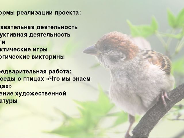 Презентация по познавательно-исследовательской деятельности "Птицы России"