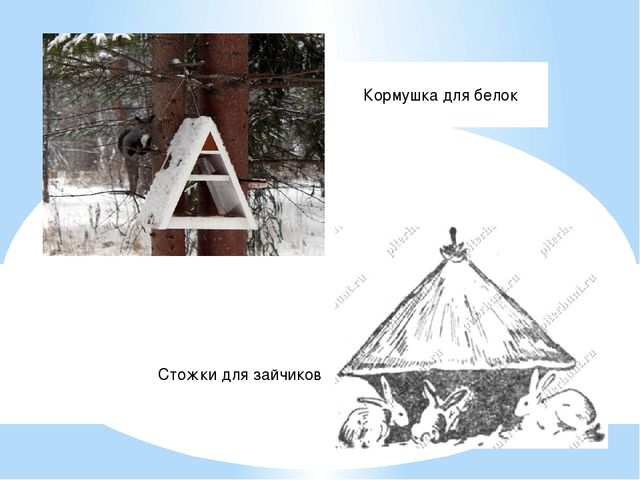 Конспект занятия для детей старшей группы "Путешествие в зимний лес"