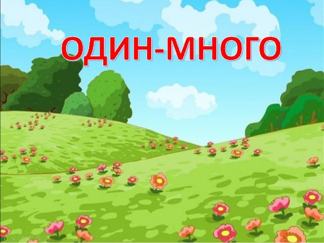 Лексическая игра по развитию речи на тему: "Один - много" для подготовительной группы
