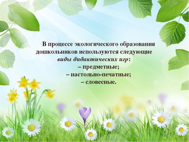 Презентация "Роль дидактических игр в экологическом образовании детей"