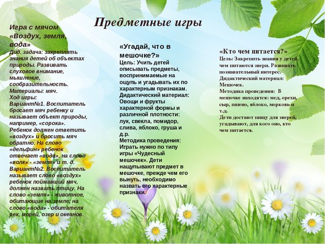 Презентация "Роль дидактических игр в экологическом образовании детей"