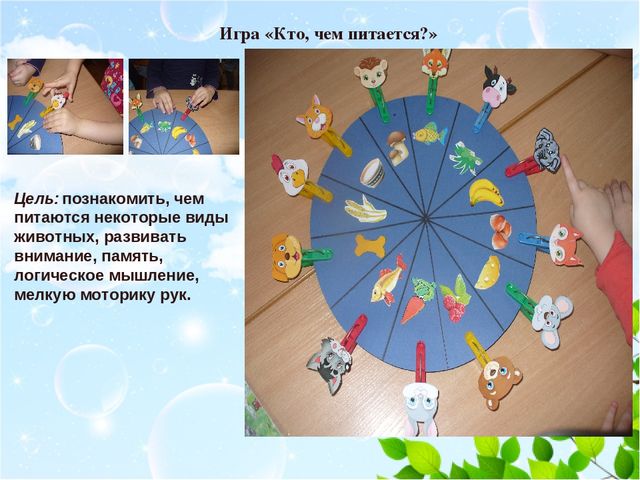 Презентация "Роль дидактических игр в экологическом образовании детей"