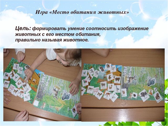Презентация "Роль дидактических игр в экологическом образовании детей"