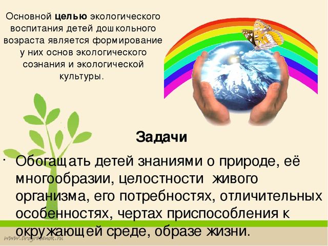 Формирование у дошкольников основ экологической культуры