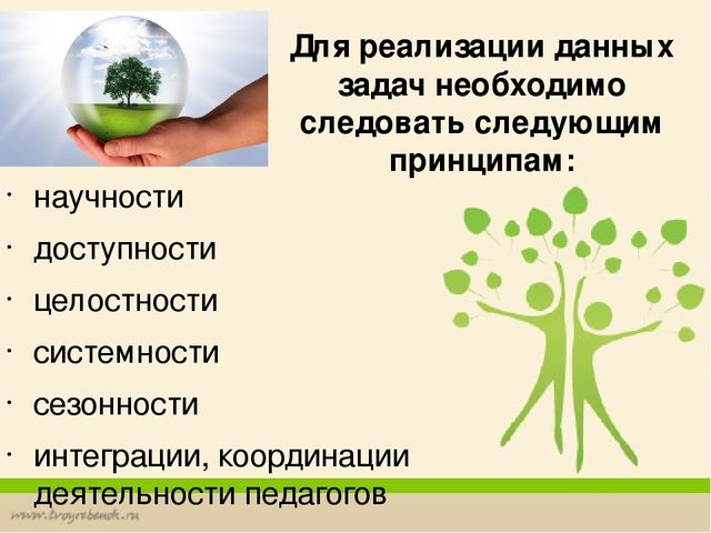 Формирование у дошкольников основ экологической культуры