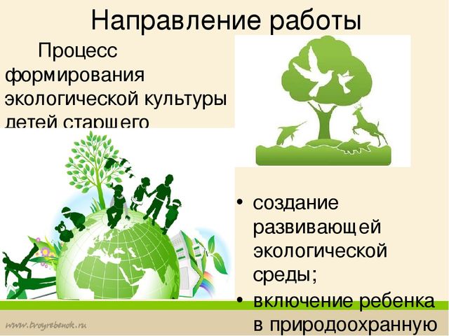 Формирование у дошкольников основ экологической культуры
