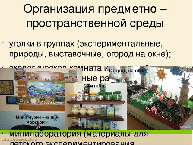 Формирование у дошкольников основ экологической культуры
